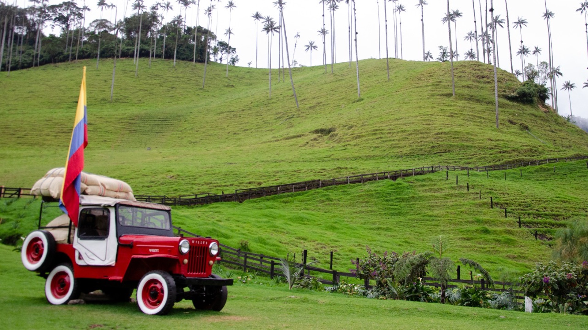 Grupo infinty, turismo, pasadias, transporte en ibagué, colombia